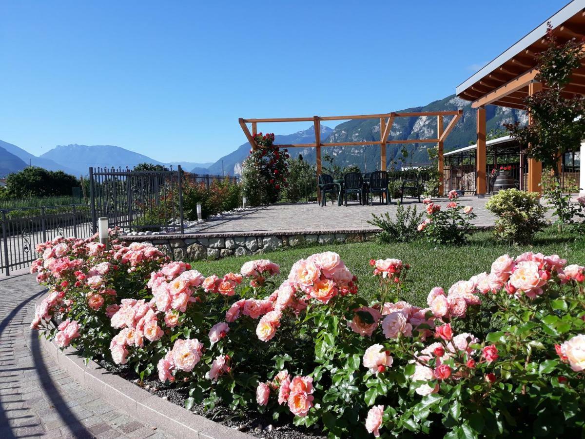 Agriturismo L' Isola Di Arturo Тренто Екстериор снимка