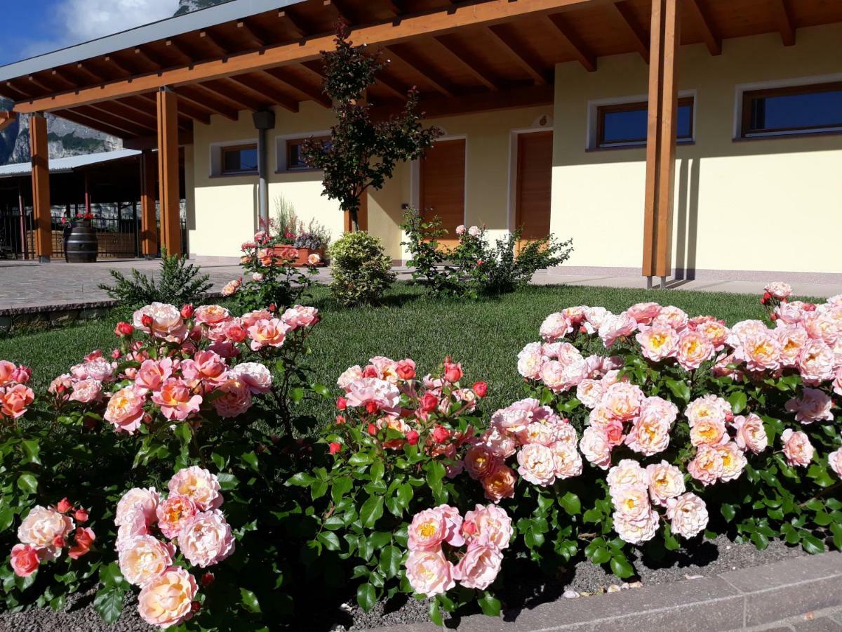 Agriturismo L' Isola Di Arturo Тренто Екстериор снимка
